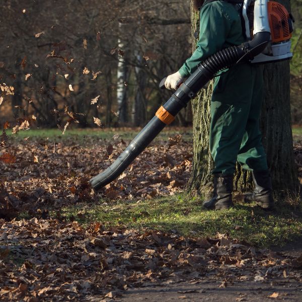 Laubbeseitigung und Abfallbeseitigung in Brandenburg